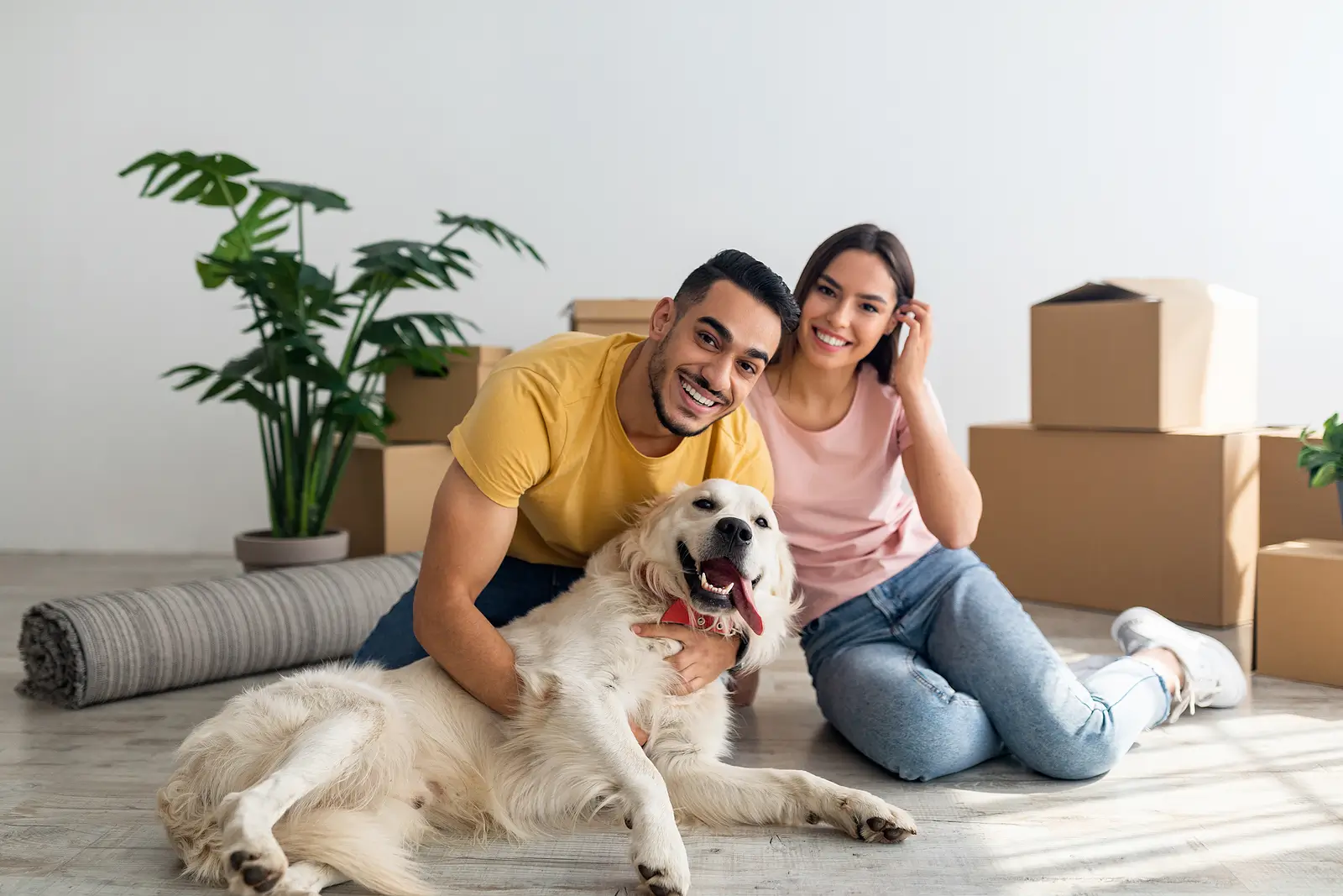 Creating a Rental Pet Policy That Balances Protection and Appeal